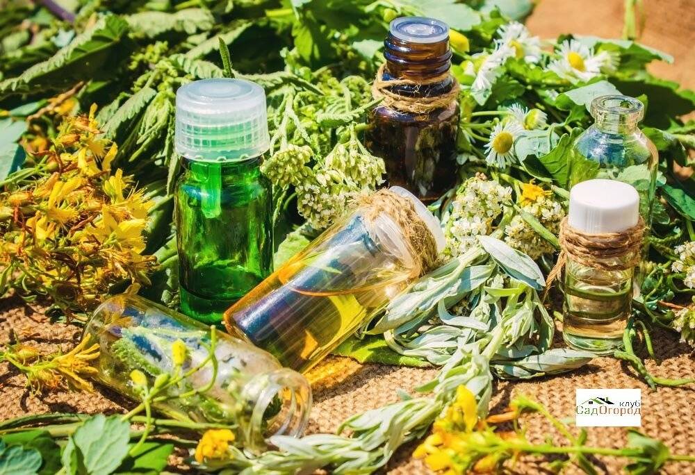 СТАБИЛИЗАТОРЫ, ФИКСАТОРЫ АРОМАТОВ